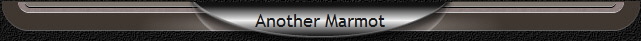 Another Marmot