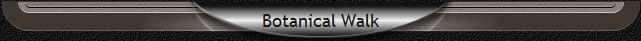 Botanical Walk
