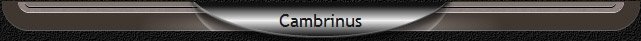 Cambrinus