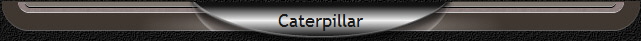 Caterpillar