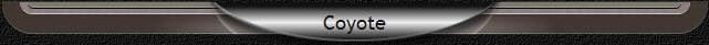 Coyote
