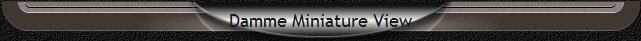 Damme Miniature View