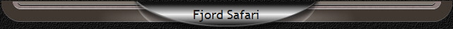 Fjord Safari