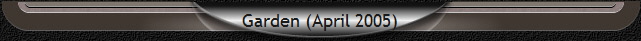 Garden (April 2005)