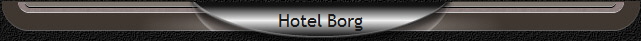 Hotel Borg