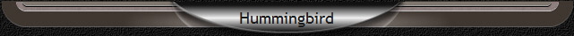 Hummingbird