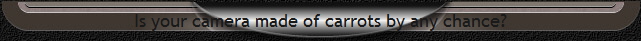 Is your camera made of carrots by any chance?