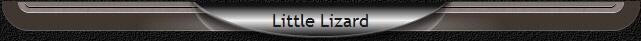 Little Lizard