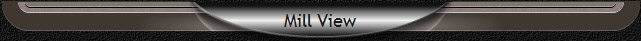 Mill View