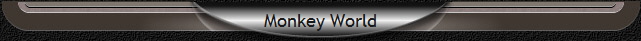 Monkey World