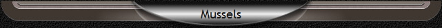 Mussels