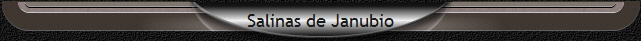Salinas de Janubio