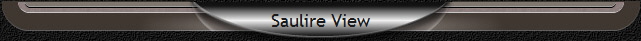Saulire View