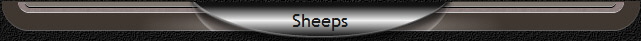 Sheeps