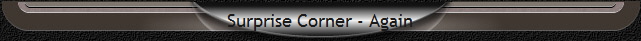 Surprise Corner - Again