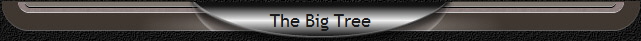 The Big Tree