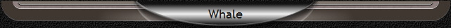 Whale