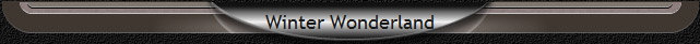 Winter Wonderland