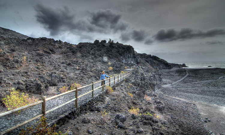 220-IMG_2533_4_5-CLU