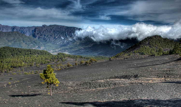 280-IMG_2609_10_11-CLS