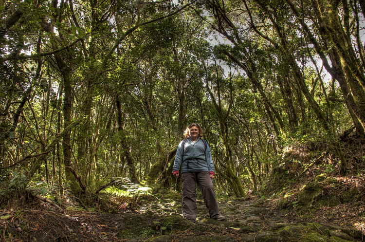 310-IMG_2630_1_2-LSU