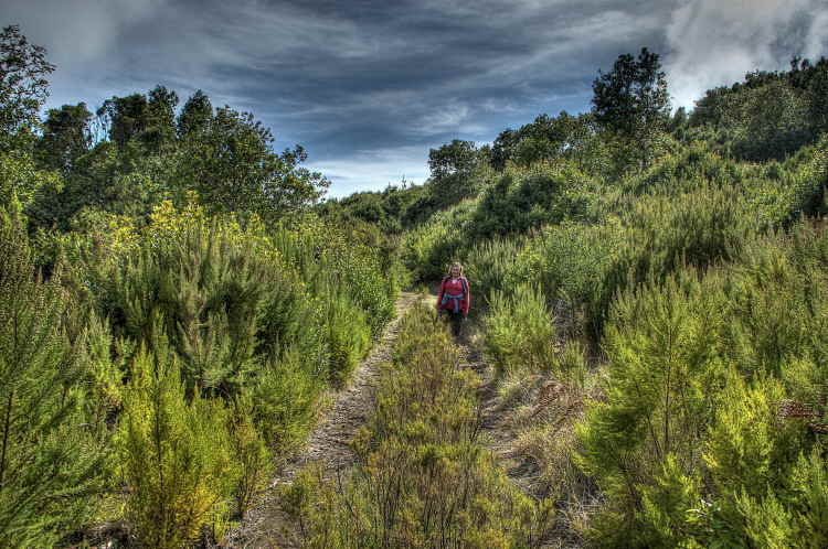 320-IMG_2636_7_8-LSU