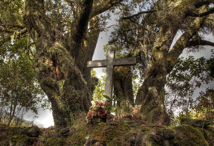 350-IMG_2651_2_3-CLSU