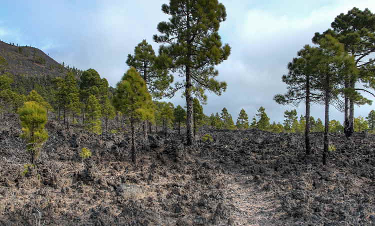 420-IMG_2732_3_4-CLSU