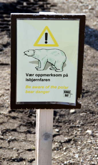 Polar Bears