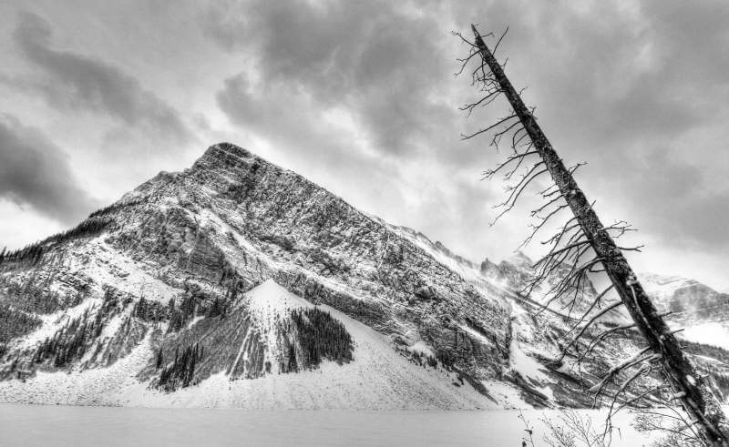 530-IMG_1498_499_500-B+W