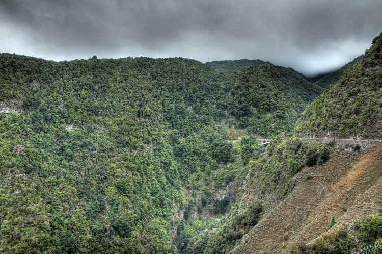 560-IMG_2878_79_80-LS