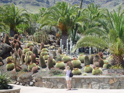 Cactualdea Cactus Park