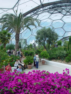 Eden Project