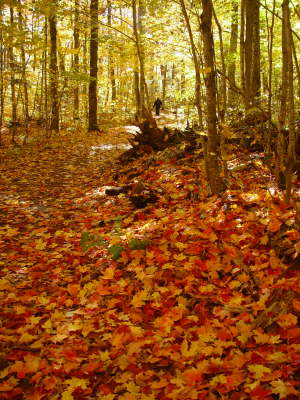 Arrowhead National Park