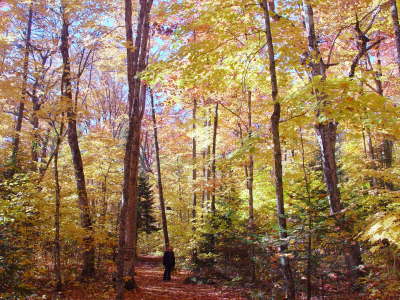 Arrowhead National Park