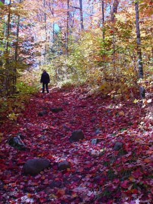 Arrowhead National Park