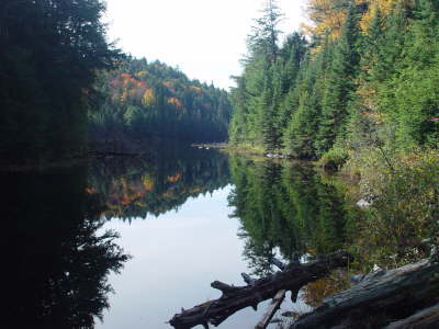 Algonquin National Park