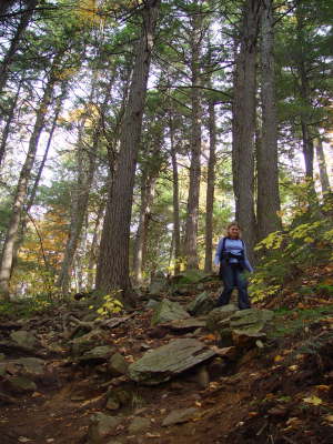 Algonquin National Park