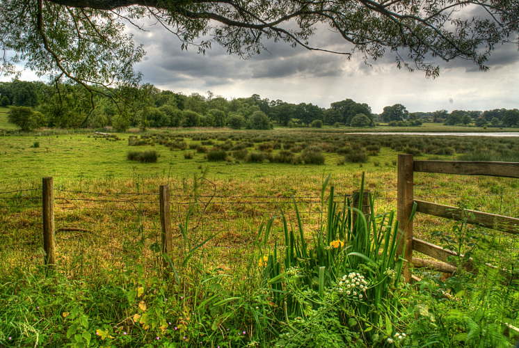 DSC07102_3_4_5_6_7_painterly-CLSU