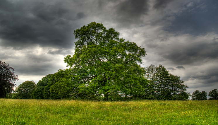 DSC07141_2_3Enhancer-CLU