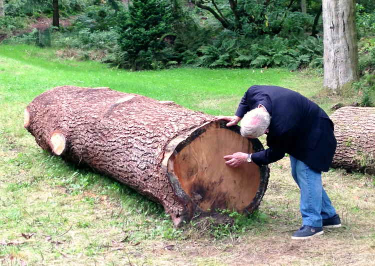 Stourhead Lake and Gardens