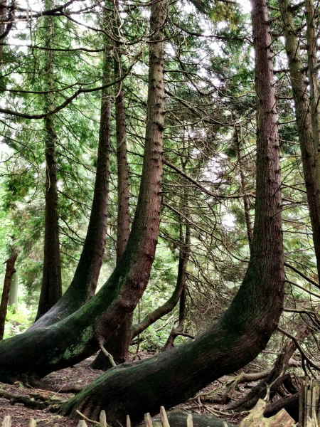 Stourhead Lake and Gardens