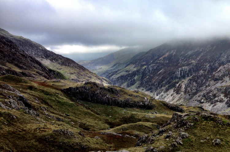 Pyg Track
