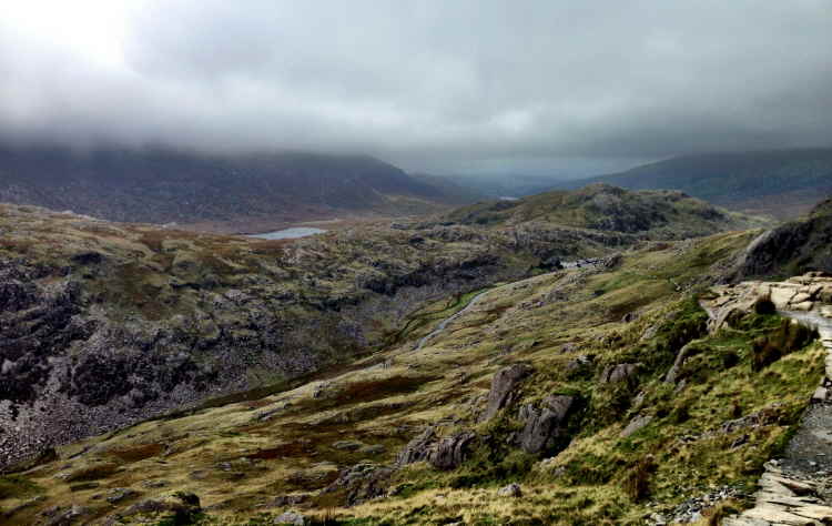 Pyg Track View