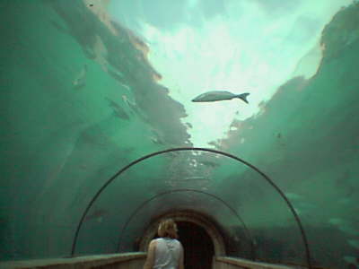 Tunnel